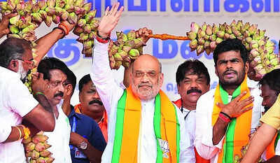 Oppositon VP pick has 'ideological support' for Naxalism: Shah