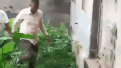 Jumped wall, threw phone in drain: How TMC MLA tried to evade ED, only to be later arrested - Video