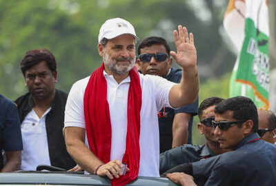 'Gujarat model is of vote-chori': Rahul Gandhi targets PM Modi, ECI in Bihar rally; promises more evidence of 'poll theft'