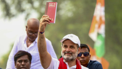 'Deep hatred': Did Rahul Gandhi insult Ambedkar during Bihar rally? Watch video