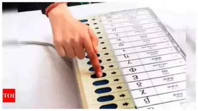 RJD, CPI(ML) Liberation only parties to file claims on Bihar draft electoral roll