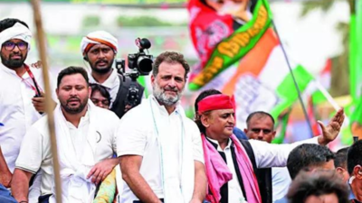 GDP data a 'slap in face' for Rahul Gandhi: BJP