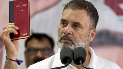 ‘Rahul Go Back’: UP Minister Blocks Convoy, Demands Apology Over Insult To PM Modi’s Mother