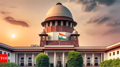 If we can clear delayed bills, why not perform other guv functions: SC