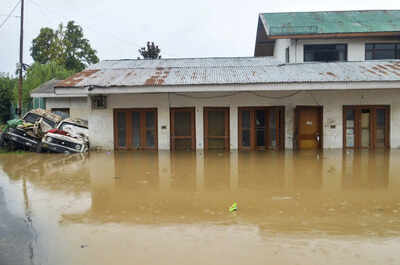 Rain fury: Heavy downpours batter north India; IMD sounds alerts, pilgrimage suspended