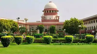 'You'll clean it in 2 hours if a dignitary comes': SC raps MCD on 'Gumti of Shaikh Ali'; seeks report by Sept 18