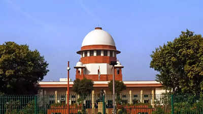 'Proud of our Constitution': Supreme Court cites Nepal, Bangladesh turmoil; what prompted observation?