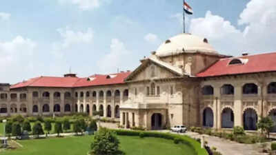 Allahabad HC says man insulting tricolour deserves no sympathy, denies bail