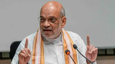 Amit Shah: Link passports to fast-track immigration plan at time of issue