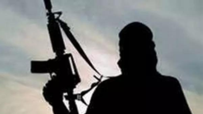 Chhattisgarh: Naxalite killed in Bijapur encounter; weapons, explosives seized