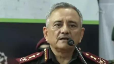 Chose night to avoid civilian casualties: CDS on Op Sindoor