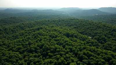 India’s forest cover up by mere 2.5% in 10 years but 'very dense forest' component grew 22.7%: First ever report on national forest accounting