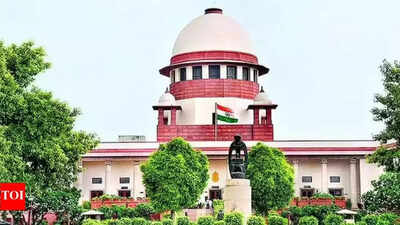 Voter registered in multiple seats can't contest polls: Supreme Court