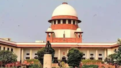 Make mechanism to ensure sale of green crackers, Supreme Court tells Centre
