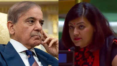 'If destroyed runways look like victory... ': India rejects Shehbaz Shariff's 'bizarre' claims at UN; asks Pakistan to handover terrorists