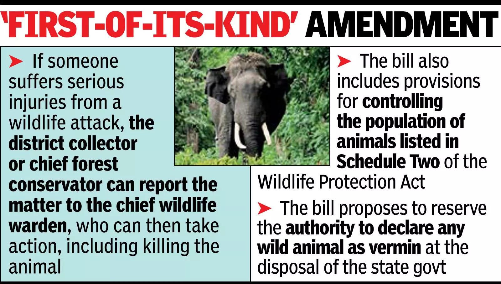 Cabinet clears draft bill to kill dangerous wild animals