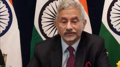 Ukraine seeks India's active role in cessation of hostilities