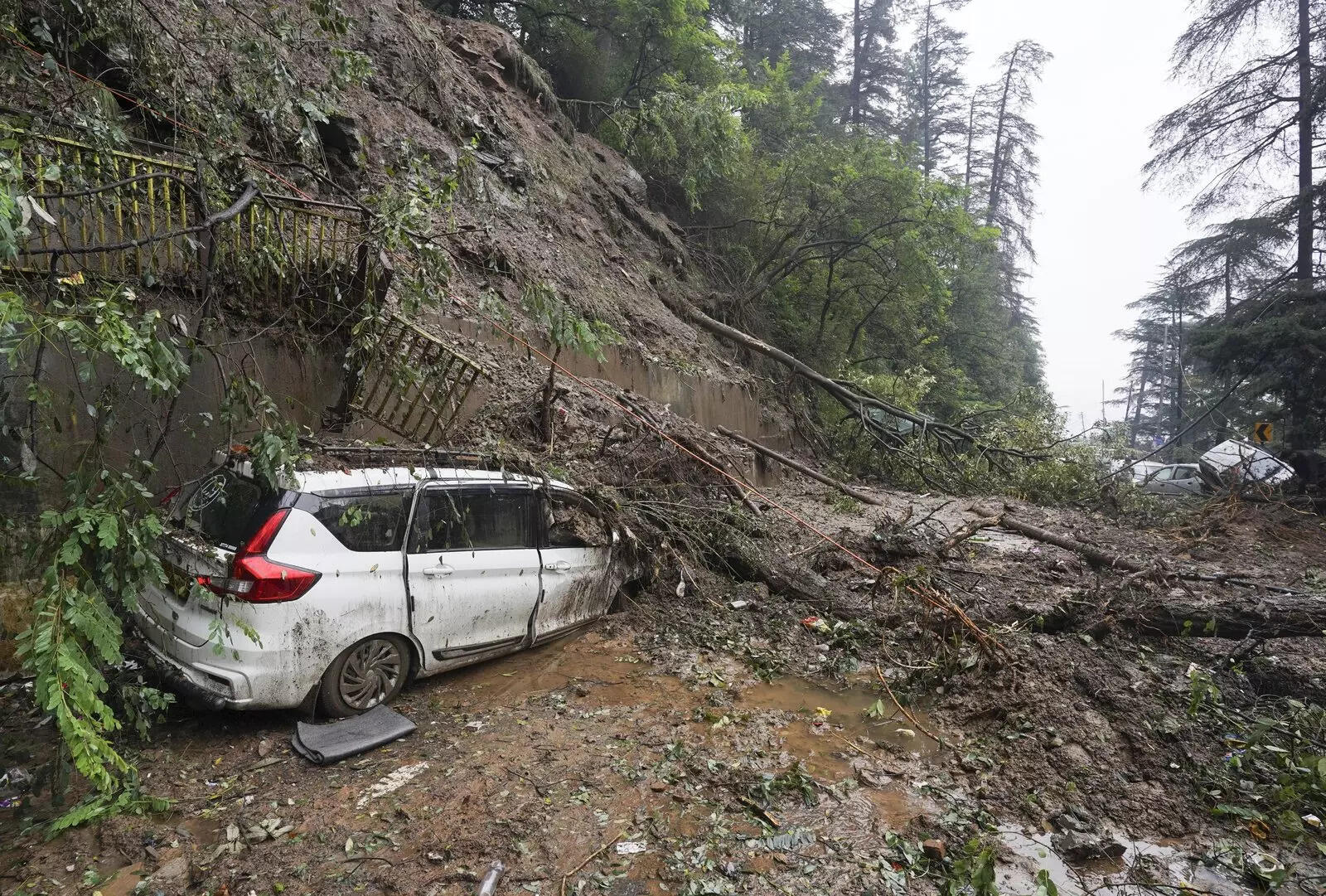 Himachal landslide (PTI)