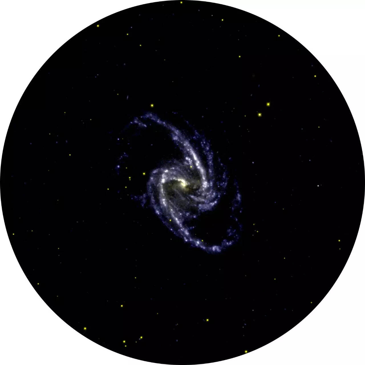NGC 2336 a barred spiral galaxy 100 million light years away as seen by AstroSat UVIT (Credit: Isro)