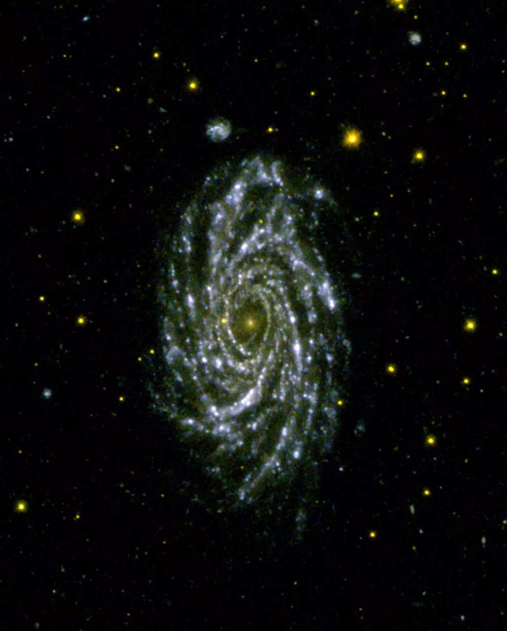NGC1365 as seen by AstroSat UVIT is also known as Fornax propeller galaxy is a double barred galaxy at a distance of 56 million light years away (Credit: Isro)