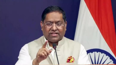 'Continue to have engagement': What MEA said on recognising Taliban government - watch