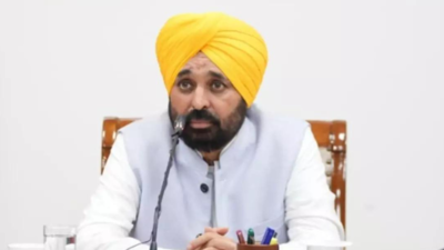 Cleanliness drive to begin in 2,300 flood-hit villages: Punjab CM Bhagwant Mann