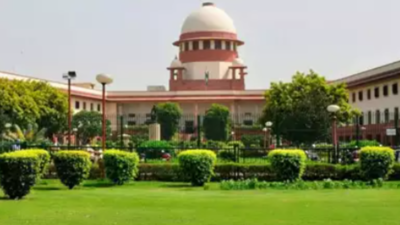 Review petition can't be allowed as 'appeal in disguise', rules Supreme Court