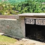Committee to study illegal immigration gets Cabinet nod