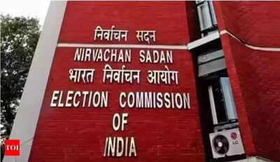 EC accuses ADR of mala fide motive to disrupt SIR