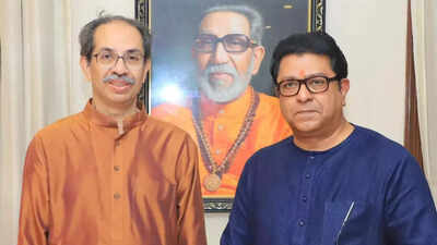 'Attempt being made to finish off regional parties': MVA, MNS close ranks; to hold joint rally against EC