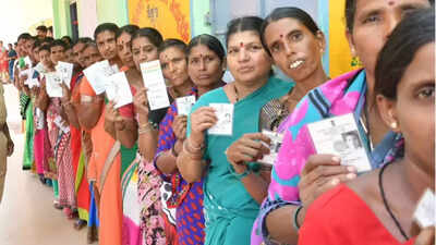 Bihar polls: NDA, MGB focus on 'naari' vote - what are they offering