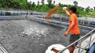 Water ATMs and fishing for profit