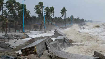 Cyclone Montha: Crisis management group reviews preparedness