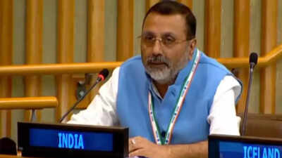 Nishikant Dubey 'Worst violator': India slams 'highly hypocritical' Pakistan at UN; calls out killings in Afghanistan