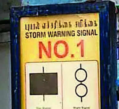 Andhra, Odisha & TN on alert as cyclone Montha nears, IMD warns of heavy rain