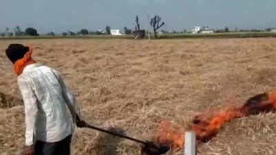 Punjab saw 415 farm fires from September 15-October 21, down from 1,510 during same period last year: Data