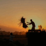 Tere Ishk Mein teaser out : Dhanush and Kriti Sanon's love story is about loss and longing