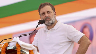 '10% control the Army': Rahul Gandhi’s caste claim at Bihar rally; BJP terms remark disgraceful