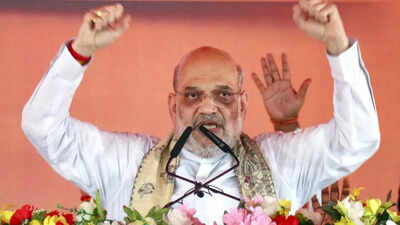 'They welcome infiltrators': Shah takes jibe at Lalu 'chacha' & Rahul Gandhi at Bihar rally; claims only Nitish-Modi can prevent 'jungle raj'