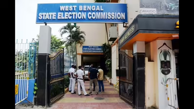 Representative image Woman tries to kill daughter & self, kin link it to Bengal SIR