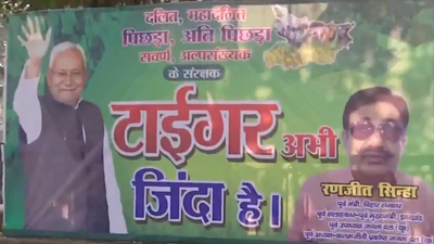 Bihar elections: 'Tiger abhi zinda hai' poster featuring Nitish surfaces; results to be out tomorrow