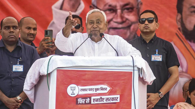 Bihar election results 2025: How Nitish Kumar's 'flip' on freebies powered historic NDA win