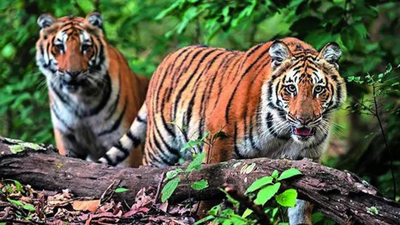 Ignoring own orders, Supreme Court has kept case in limbo since 2018