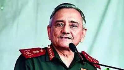 CDS lashes out at defence companies: 'Show a bit of patriotism'