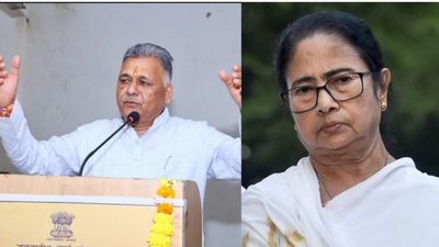 Watch: MP minister calls Ram Mohan Roy 'British agent'; TMC hits back