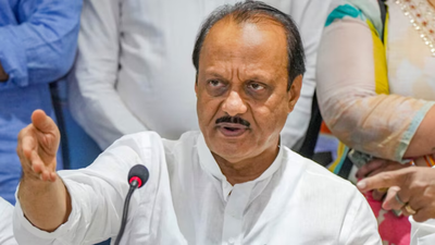 'You have votes, I have funds': Ajit Pawar tells voters; claims 'if you reject' NCP candidates then 'I'll reject you'