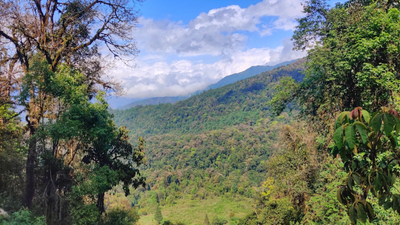The study site at Eaglenest Wildlife Sanctuary in Arunachal Pradesh | Credit: IISc Decade-long IISc Study: Anthropogenic changes threaten eastern Himalayan birds