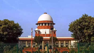 Supreme Court Saints, pujaris body move SC in support of anti-conversion laws