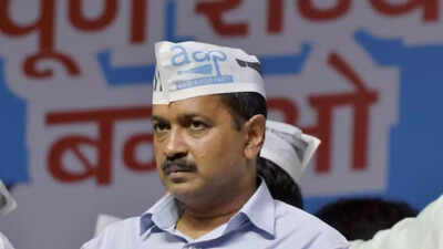 . AAP announces 22 candidates for Goa Zilla Panchayat polls, to contest all 50 seats