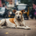 MPs Baijayant Panda & Tejasvi to head panels on IBC – full list